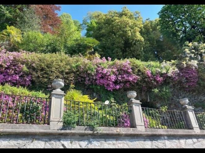 Casa Ilda Villa Orta San Giulio Eksteriør bilde